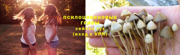 винт Алексеевка