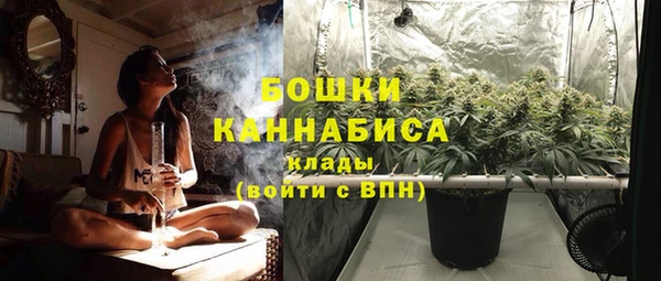 ПСИЛОЦИБИНОВЫЕ ГРИБЫ Алексин