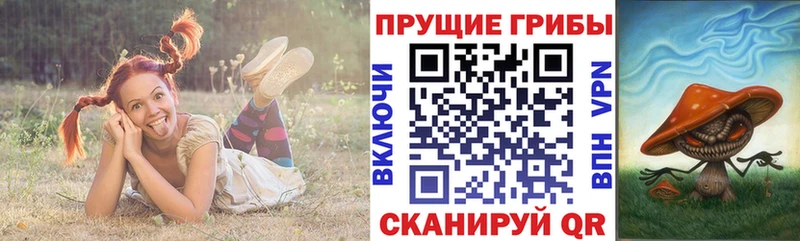 Галлюциногенные грибы мицелий  Волхов 