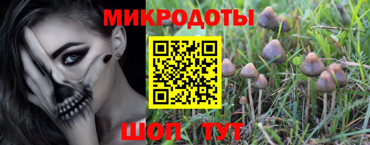 Галлюциногенные грибы Psilocybine cubensis Волхов